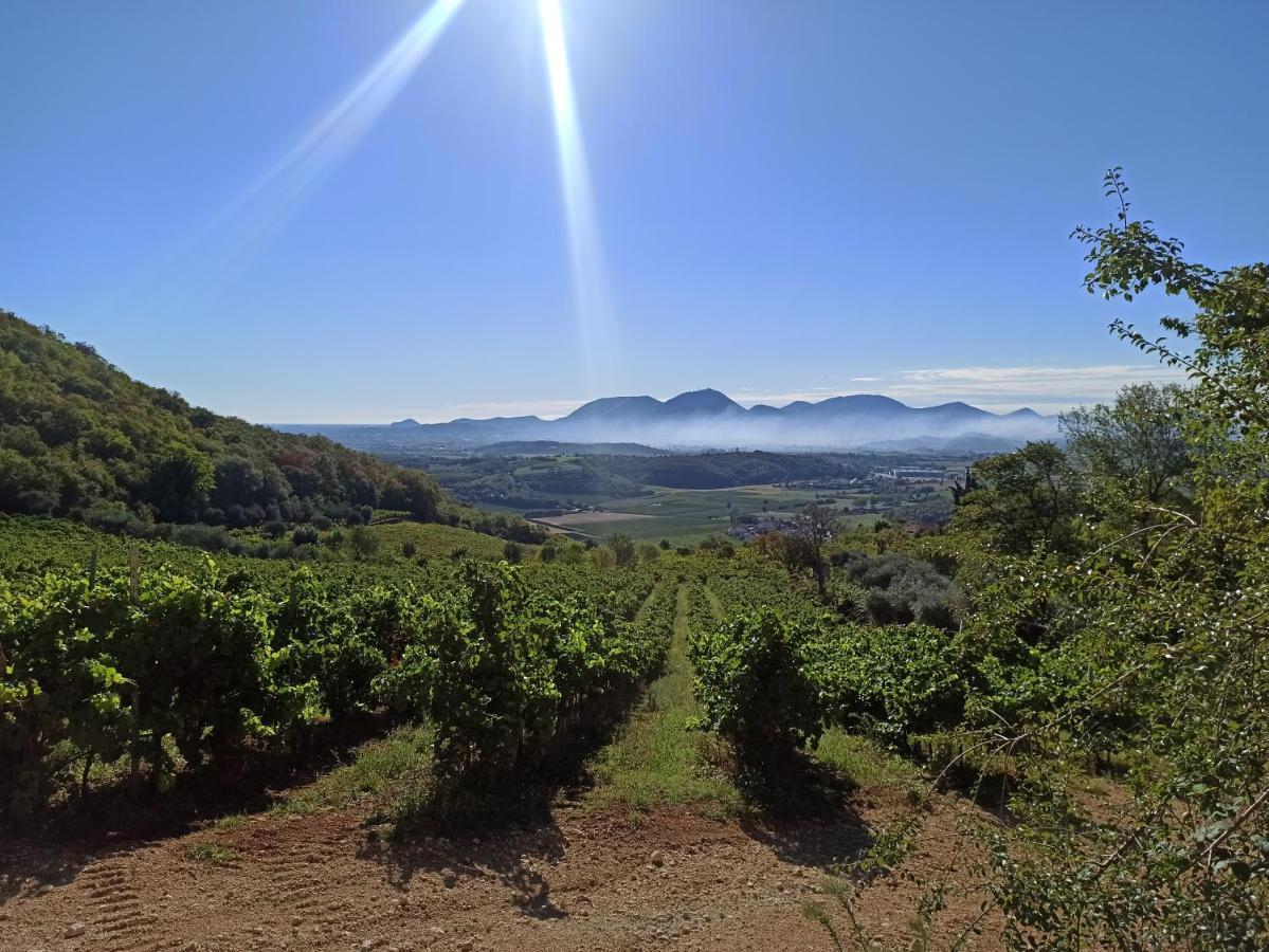 Alloggio La Perla, Quiete Ed Eleganza Con Vista Barbarano Vicentino Eksteriør billede