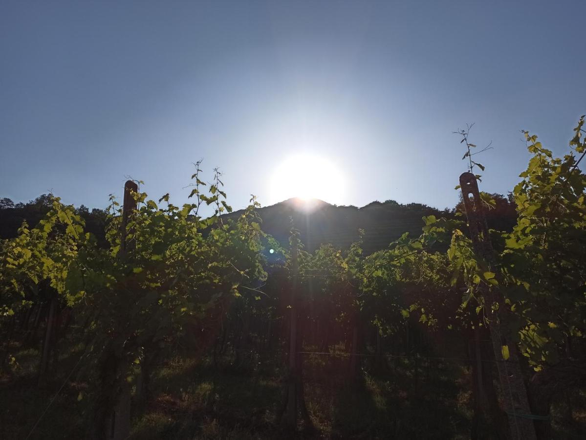 Alloggio La Perla, Quiete Ed Eleganza Con Vista Barbarano Vicentino Eksteriør billede
