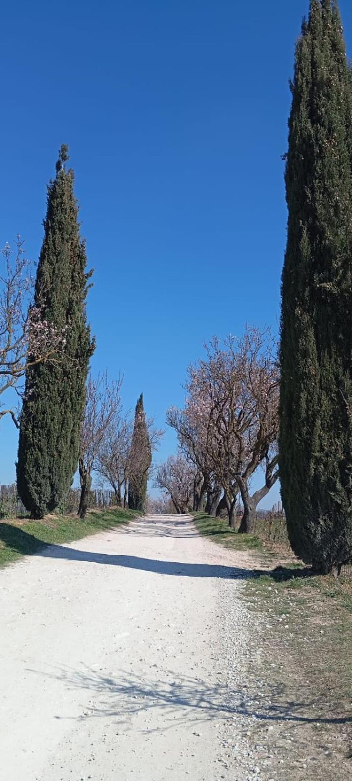 Alloggio La Perla, Quiete Ed Eleganza Con Vista Barbarano Vicentino Eksteriør billede